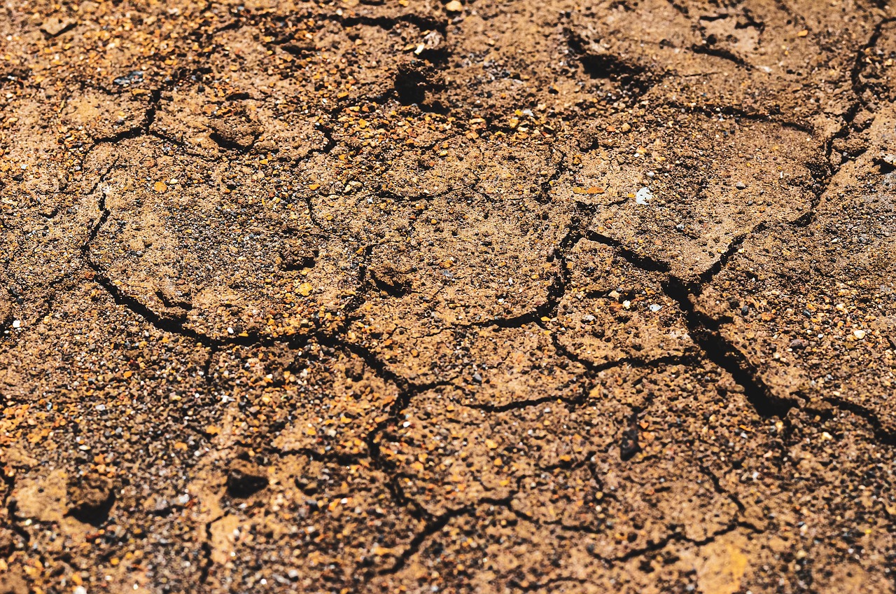 Arsa Deprem Sigortası